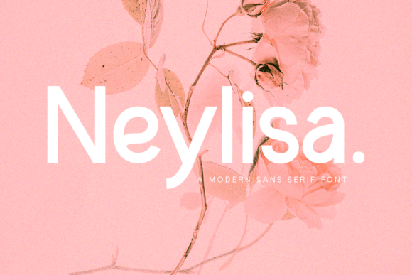 Neylisa: A Modern Font for Stronger Campaign Messaging