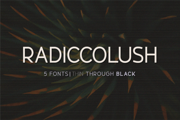 Radiccolush Font: A Polished Touch for Real Business Branding